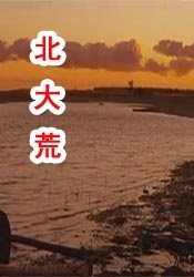 精品网站在线观看